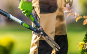Recrutement de jardiniers : rejoignez nos équipes